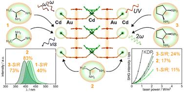 Chiral cadmium–amine complexes for stimulating non-linear optical activity and photoluminescence in solids based on aurophilic stacks†