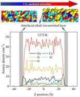 Unraveling the atomic-scale mechanism of interfacial alkali ion close packing in nano glassy fibers driven by CO2-mediated attraction†