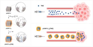 Use of surface-modified porous silicon nanoparticles to deliver temozolomide with enhanced pharmacokinetic and therapeutic efficacy for intracranial glioblastoma in mice†