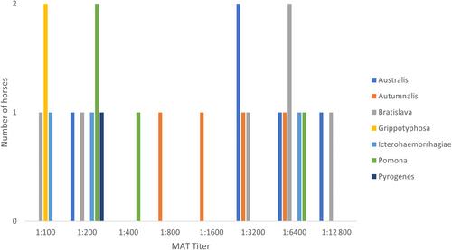 Acute leptospirosis in horses: A retrospective study of 11 cases (2015-2023)