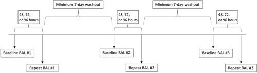 Time to resolution of airway inflammation caused by bronchoalveolar lavage in healthy horses