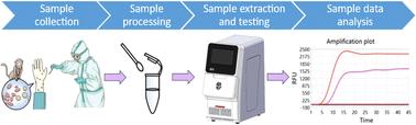 Novel point-of-care rapid detection of monkeypox virus