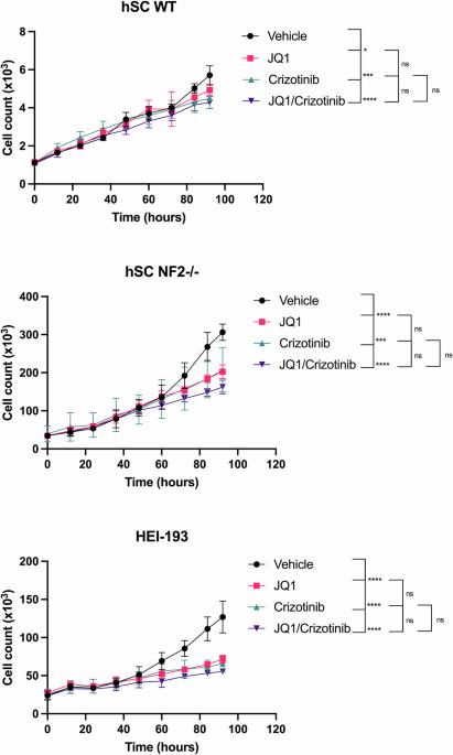 Synergistic effects of combined BET and FAK inhibition against Vestibular Schwannomas in NF2-related Schwannomatosis