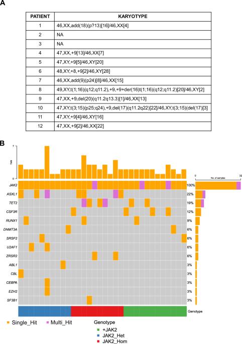 Chromosome 9p trisomy increases stem cells clonogenic potential and fosters T-cell exhaustion in JAK2-mutant myeloproliferative neoplasms