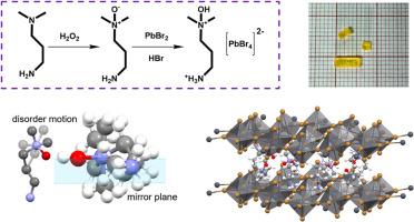 Phase transition arising from order-disorder motion in stable layered two-dimensional perovskite