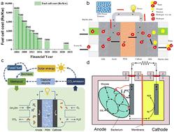 A review of fuel cell cathode catalysts based on hollow porous materials for improving oxygen reduction performance†