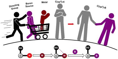 Substrate-directed C(sp3)–H borylation via transition metal catalysis: expanding the toolbox for C–H functionalization