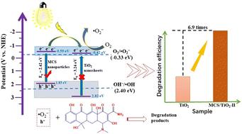 Facile in situ construction strategy to deposit Mn0.5Cd0.5S nanoparticles on TiO2 nanosheets for highly efficient visible light photocatalytic degradation of tetracycline