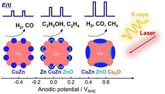 Time-resolved operando insights into the tunable selectivity of Cu–Zn nanocubes during pulsed CO2 electroreduction†