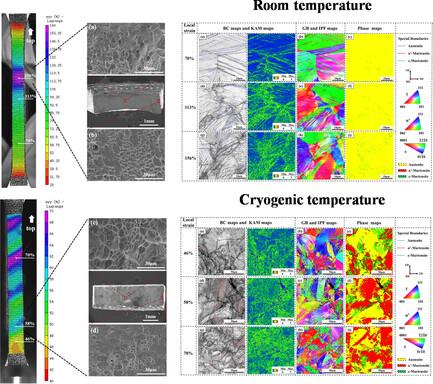 Mechanical Properties and Martensitic Transformation Behavior of 316LN Stainless Steel Under Cryogenic Deformation