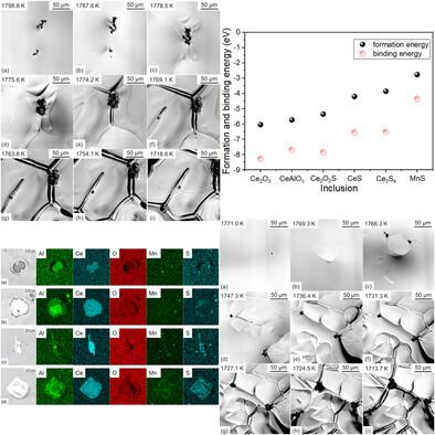 First-Principles Calculation and In Situ Observation on the Precipitation of Inclusions during Solidification of a High Sulfur Steel