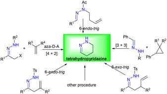 Advances in the synthesis of functionalized tetrahydropyridazines from hydrazones