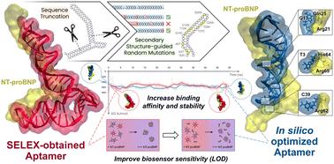 Improving DNA aptamers against a heart failure protein biomarker using structure-guided random mutation approaches for colourimetric biosensor development†