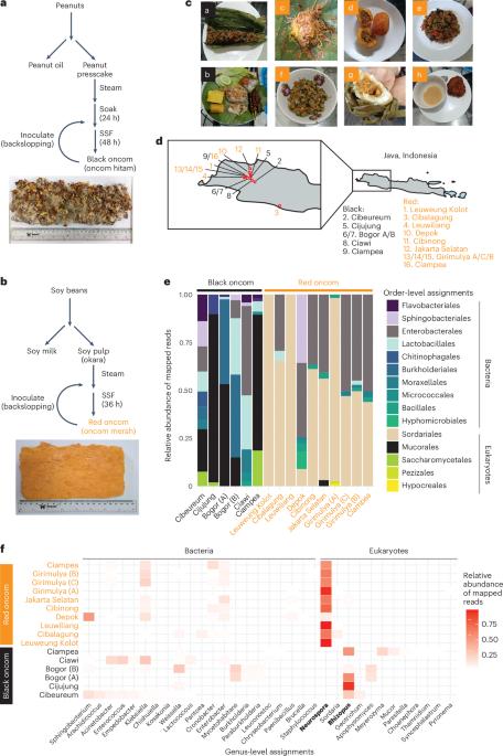 Neurospora intermedia from a traditional fermented food enables waste-to-food conversion