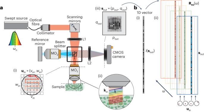 Multi-spectral reflection matrix for ultrafast 3D label-free microscopy