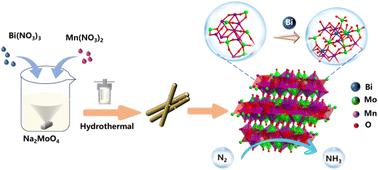 Bismuth-doped manganese molybdenum bimetallic oxide nanorods as a highly efficient nitrogen reduction catalyst†