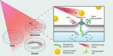 Nanoparticle-Mediated Photoporation: Expanding Horizons in Drug Delivery