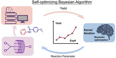 Self-optimizing Bayesian for continuous flow synthesis process†