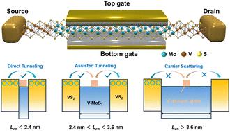 Dopant-mediated carrier tunneling in short-channel two-dimensional transistors†