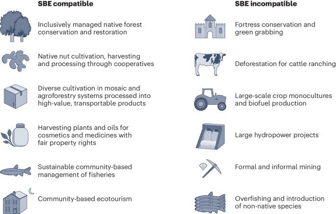 Transformative changes are needed to support socio-bioeconomies for people and ecosystems in the Amazon