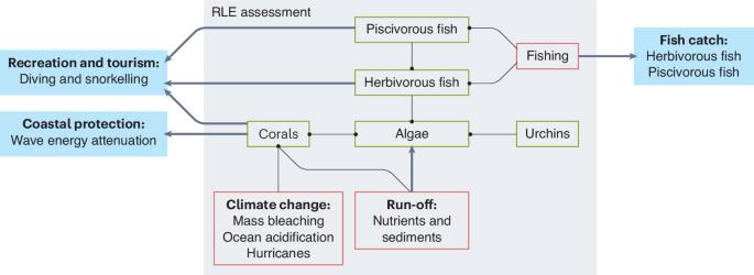 Synergies and complementarities between ecosystem accounting and the Red List of Ecosystems