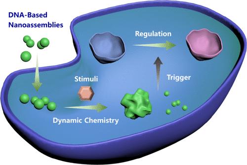 Dynamic Chemistry of DNA-Based Nanoassemblies in Living Cells