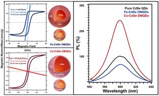 The interplay between magnetism and structure in Co/Fe-CdSe diluted magnetic quantum dots†