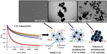 Colloidal properties and stability of colloidal activated carbon: effects of aqueous chemistry on sedimentation kinetics†