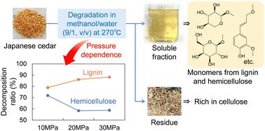 Effect of process parameters on woody biomass fractionation in a methanol/water mixture in a semi-flow reactor†