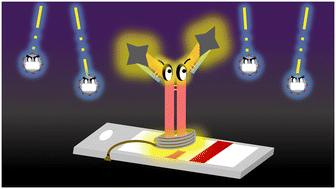 The importance of antibody orientation for enhancing sensitivity and selectivity in lateral flow immunoassays