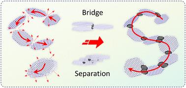 Enhanced thermal conductivity of polymeric composites with BN@C hybrid fillers†