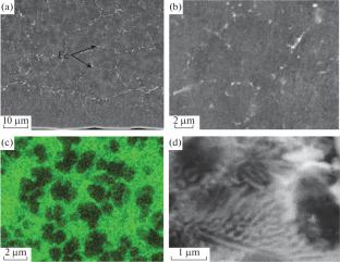 Microstructure and Coefficient of Friction of Silumins Obtained by Rapid Solidification