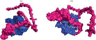 Investigating the Role of KLF6-SV1 as a Regulator of EMT Progression