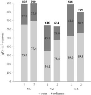 Stratification and respiration dynamics in shallow ponds: insights from continuous temperature measurements