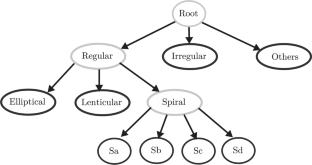 Bayesian and convolutional networks for hierarchical morphological classification of galaxies