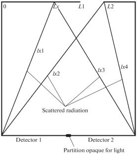 Determination of Position and Size of Non-Flaws at Albedo Flaw Detection