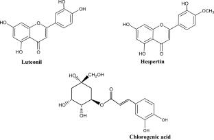 Chemical composition, anti-diabetic, antioxidant, and anti-inflammatory potentials of Cotula cinerea growing in Algerian Sahara