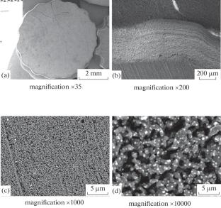 Influence of Y2O3 and Cr2O3 on Formation of Microstructure and Properties as well as Accuracy of Reproduction of Geometric Characteristics during 3D Printing with Ceramics Based on Al2O3–ZrO2