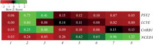 Circadian Regulation of Expression of Carotenoid Metabolism Genes (PSY2, LCYE, CrtRB1, and NCED1) in Leaves of Tomato Solanum lycopersicum L.