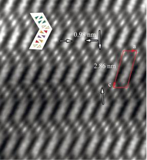 New Polytype of NbS3 Whiskers: from Simple to Complex