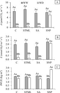 Effects of plant growth regulators on mitigating water deficit stress in young yellow passion fruit plants