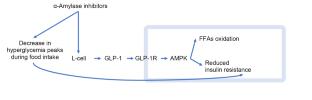 Promising Directions for Regulating Signaling Pathways Involved in the Type 2 Diabetes Mellitus Development (A Review)