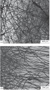 Effect of Glycero-(9,10-trioxolane)-trialeate Ozonide on Structure and Mechanical Properties of Ultrathin Polylactide Fibers Produced by Electrospinning