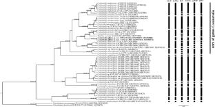 The genus Coelastrella (Chlorophyceae, Chlorophyta): molecular species delimitation, biotechnological potential, and description of a new species Coelastrella affinis sp. nov., based on an integrative taxonomic approach