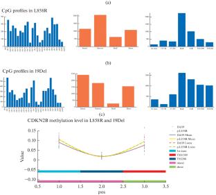 Exploring the Cause of Survival Disparities in EGFR-Mutated Lung Cancer Subtypes: Unraveling Distinctive Genomic and Phenotypic Features of 19Del and L858R Mutation Subtypes