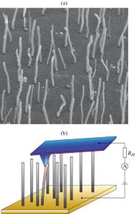 Nitrogen-Doped Carbon Nanotubes as a Promising Material for the Creation of Piezoelectric Nanogenerators