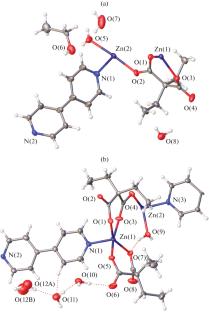 2D Coordination Polymers of Zn(II) with Diethylmalonic Acid Dianions and 4,4'-bipyridine: Synthesis and Structure