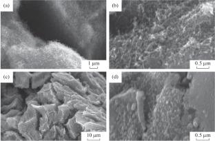 Synthesis of Carbon–Carbon Composites Based on Anthracite of the Gorlovskii Basin