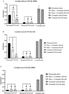 Crotamine derived from Crotalus durissus terrificus venom combined with drugs increases in vitro antibacterial and antifungal activities