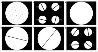 Exploring perceptual grouping by proximity principle in multistable dot lattices: Dissociation between vision-for-perception and vision-for-action